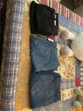 BUNDLE Universal Thread Women's Jeans 14P - Black, Medium Blue